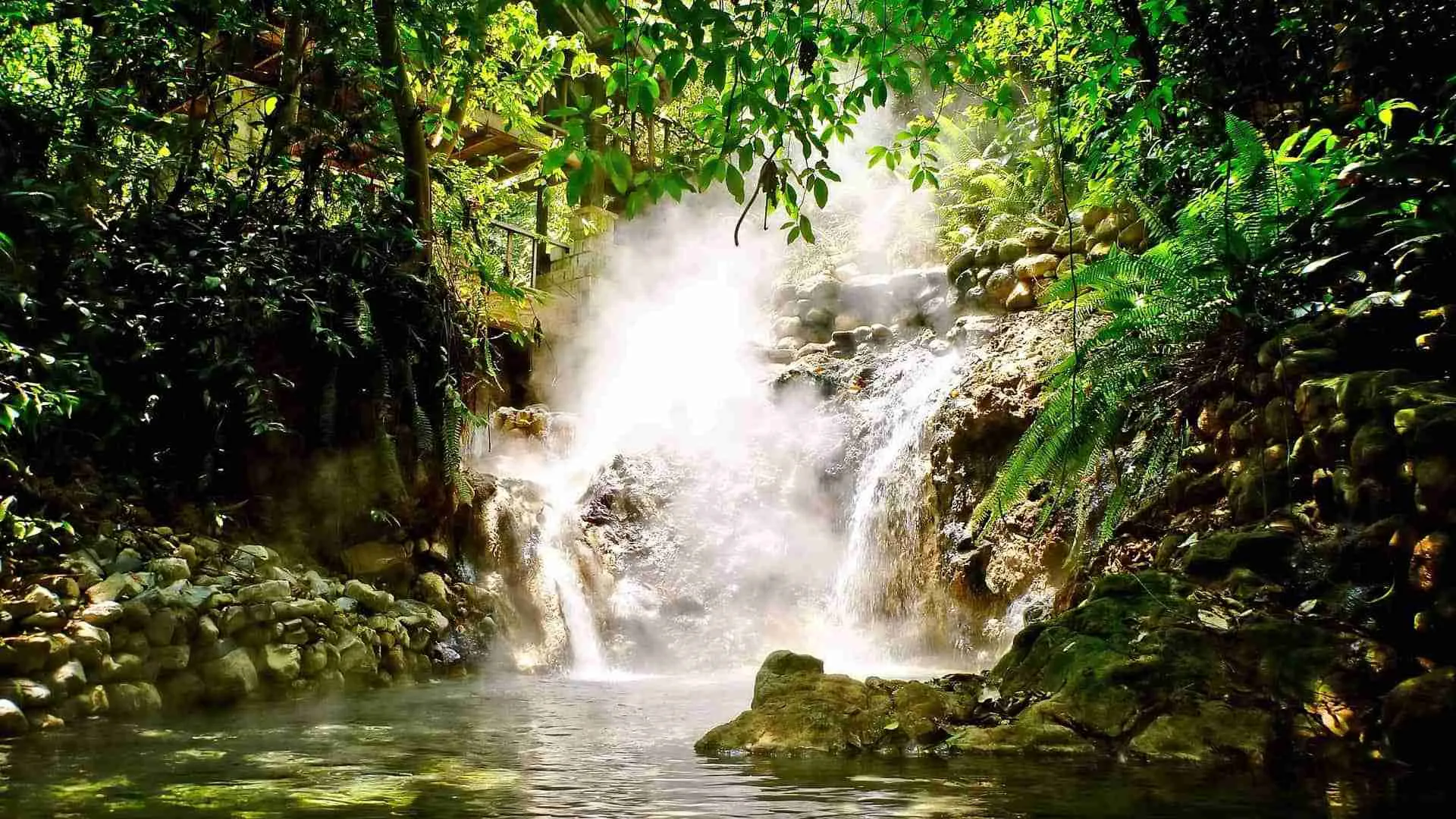 Luna Jaguar Hot Springs